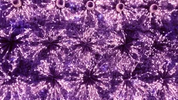 Árbol Navidad Con Luces Hadas Púrpura Adornos Árbol Año Nuevo — Vídeo de stock