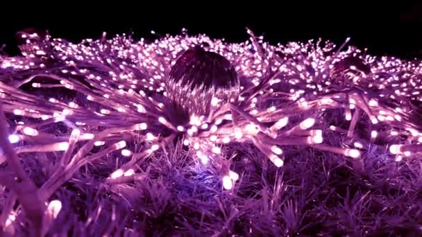 圣诞树上有紫色的仙女灯和装饰品 照亮新年的树在夜晚闪烁和闪亮的装饰品 — 图库视频影像