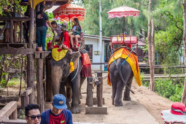 Ayutthaya Thailand January 2018 Unidentified Tourists Elephant Ride Historical Park — Stock Photo, Image