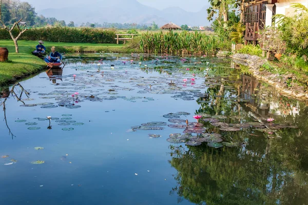 Two Boats Straw Dummies Pond Full Lotus Flowers Tree Sky — Stock Photo, Image