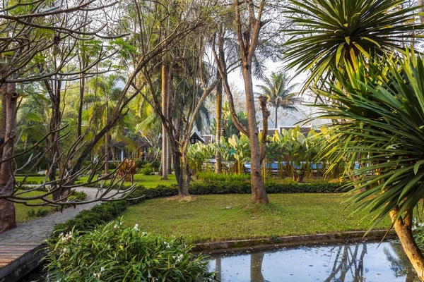 Hermoso Jardín Con Estanque Palmeras Luang Prabang Laos — Foto de Stock