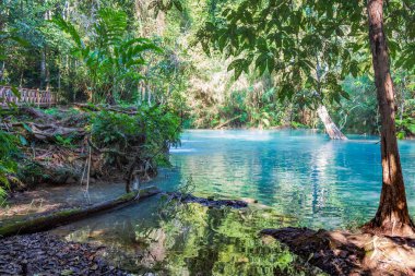 Tat Kuang Si Waterfalls Luang Prabang, Laos yakın turkuaz havuzları.