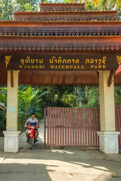 Luang Prabang Laos Enero 2018 Hombre Laosiano Con Moto Entrada — Foto de Stock