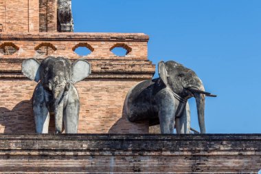 Wat Chedi Luang, Chiang Mai, Kuzey Tayland en ünlü tempels biri.