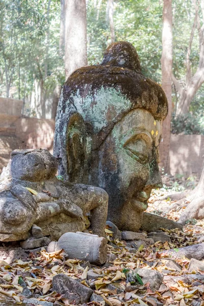 Sidovy Big Buddha Huvud Staty Fridfulla Skogen Tempel Wat Umong — Stockfoto