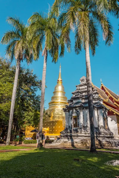 Palmeras Wat Phra Singh Provincia Chiang Mai Tailandia — Foto de Stock