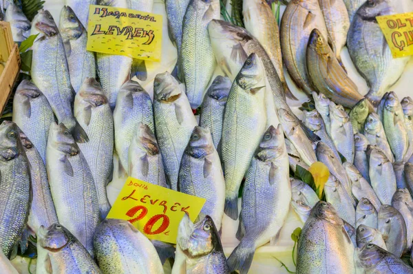 トルコで魚バザール内のカウンター上に値札と新鮮な鱸魚の山 — ストック写真