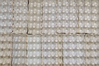Boş karton yumurta kapları üstten görünüm