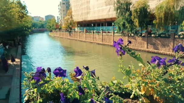 Flores roxas com a visão turva do rio Porsuk de cima, Eskisehir — Vídeo de Stock