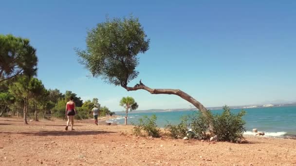 Mann und Frau gehen an einem sonnigen Tag getrennt an einer Promenade entlang — Stockvideo