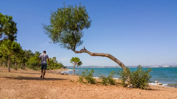 Ein alleinstehender Mann beim morgendlichen Spaziergang am Meer — Stockfoto