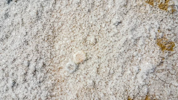 Natürliche weiße Salzkristalltextur auf dem Sand — Stockfoto
