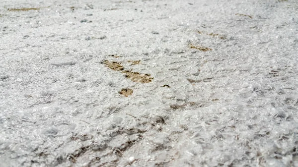 Natürliche weiße Salzkristalltextur auf dem Sand — Stockfoto