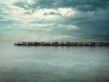 Sakin denizin üzerinde güneş ışınları olan bulutlu bir gökyüzü. Kuşlarla Rocky Rıhtımı. Doğa arkaplanı.