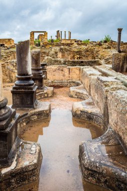 Fas 'ta verimli bir tarım bölgesinde bulunan Volubilis arkeolojik sahasındaki Antik Roma şehrinin kalıntıları..