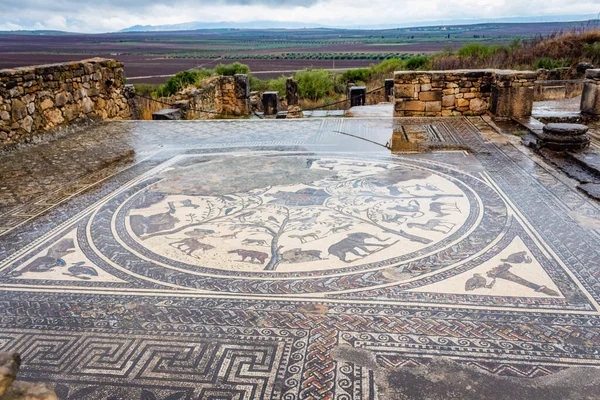 Mosaïque Sol Dans Maison Orpfeus Ruines Romaines Ancienne Ville Romaine — Photo