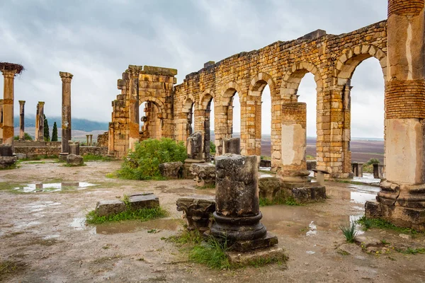 Ruines Une Ancienne Ville Romaine Dans Site Archéologique Volubilis Situé — Photo