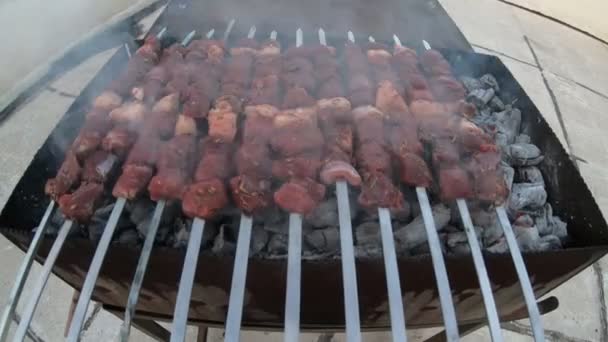 Mangalda Şiş Kebap Videosu Mangalda Şiş Kebap Videosu