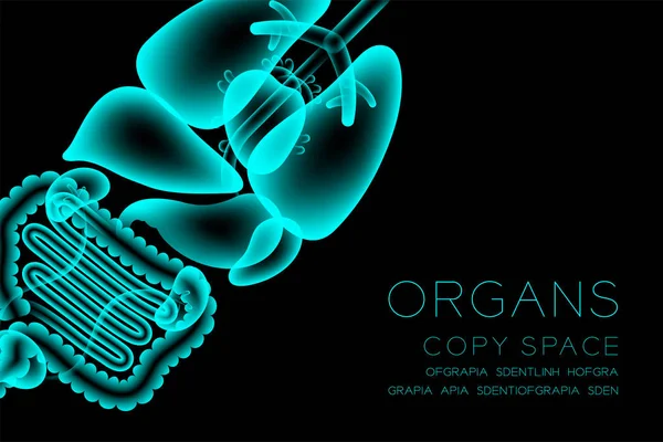 Erkek organları x-ışını set, Normal kavramı fikir illüstrasyon izole Organ metin ve kopya alanı ile koyu arka plan kızdırma