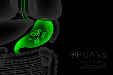 İnsan organları x-ışını set, koyu arka plan, Organ metin simgesini ve kopya alanı ile kızdırma mide enfeksiyon kavram fikir yeşil renk illüstrasyon izole