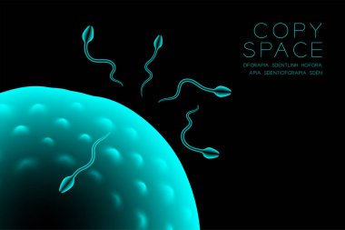 Mikroskop X-ray fertilizasyon yakın yatay kurmak, Sperm ve yumurta kopya alanı ile koyu arka plan üzerinde renkli illüstrasyon izole kızdırma mavi