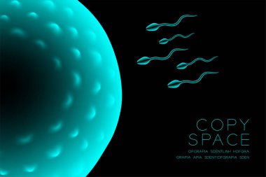 Mikroskop X-ray fertilizasyon yakın yatay kurmak, Sperm ve yumurta kopya alanı ile koyu arka plan üzerinde renkli illüstrasyon izole kızdırma mavi