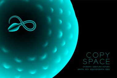 Mikroskop X-ray fertilizasyon yakın yatay kurmak, Sperm ve yumurta kopya alanı ile koyu arka plan üzerinde renkli illüstrasyon izole kızdırma mavi