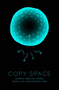 Mikroskop X-ray fertilizasyon kapatın dikey kurma, Sperm ve yumurta kopya alanı ile koyu arka plan üzerinde renkli illüstrasyon izole kızdırma mavi