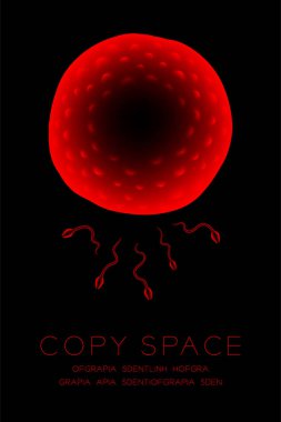 Mikroskop X-ray fertilizasyon sorun yakın dikey set up, Sperm ve yumurta kırmızı renk illüstrasyon izole kızdırma kopya alanı ile koyu arka plan üzerinde