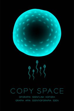 Mikroskop X-ray fertilizasyon kapatın dikey kurma, Sperm ve yumurta kopya alanı ile koyu arka plan üzerinde renkli illüstrasyon izole kızdırma mavi