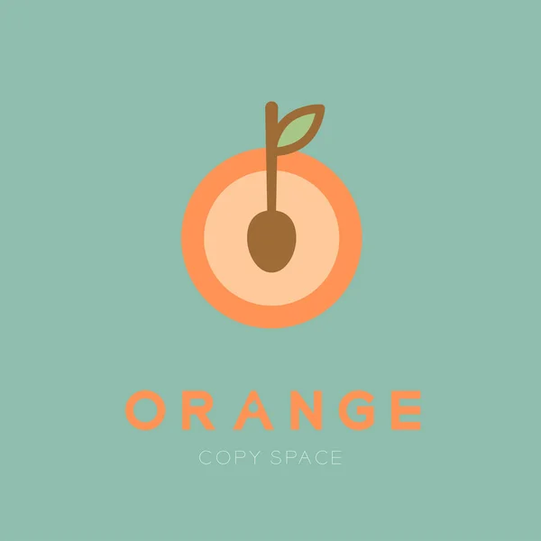 Orange Früchte Mit Löffel Logo Symbol Set Design Illustration Isoliert — Stockvektor
