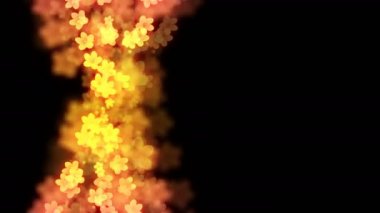 Soyut bokeh ışık parıldıyor Sahura çiçek ya da kiraz çiçeği desen siyah arka plan, animasyon 4 k doğru kopya alanı ile döngü sorunsuz üzerine pembe ve sarı degrade renk illüstrasyon