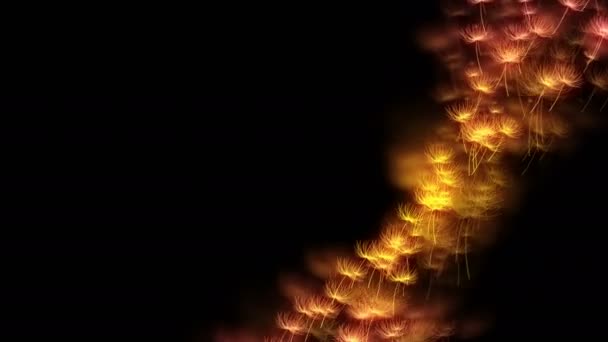 Абстрактная Светлая Искра Одуванчика Тампона Рисунком Желтого Розового Цвета Темном — стоковое видео