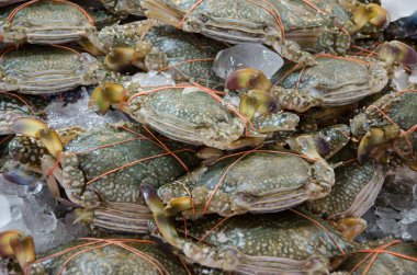 Mavi yüzme yengeç Tay pazarında buzla