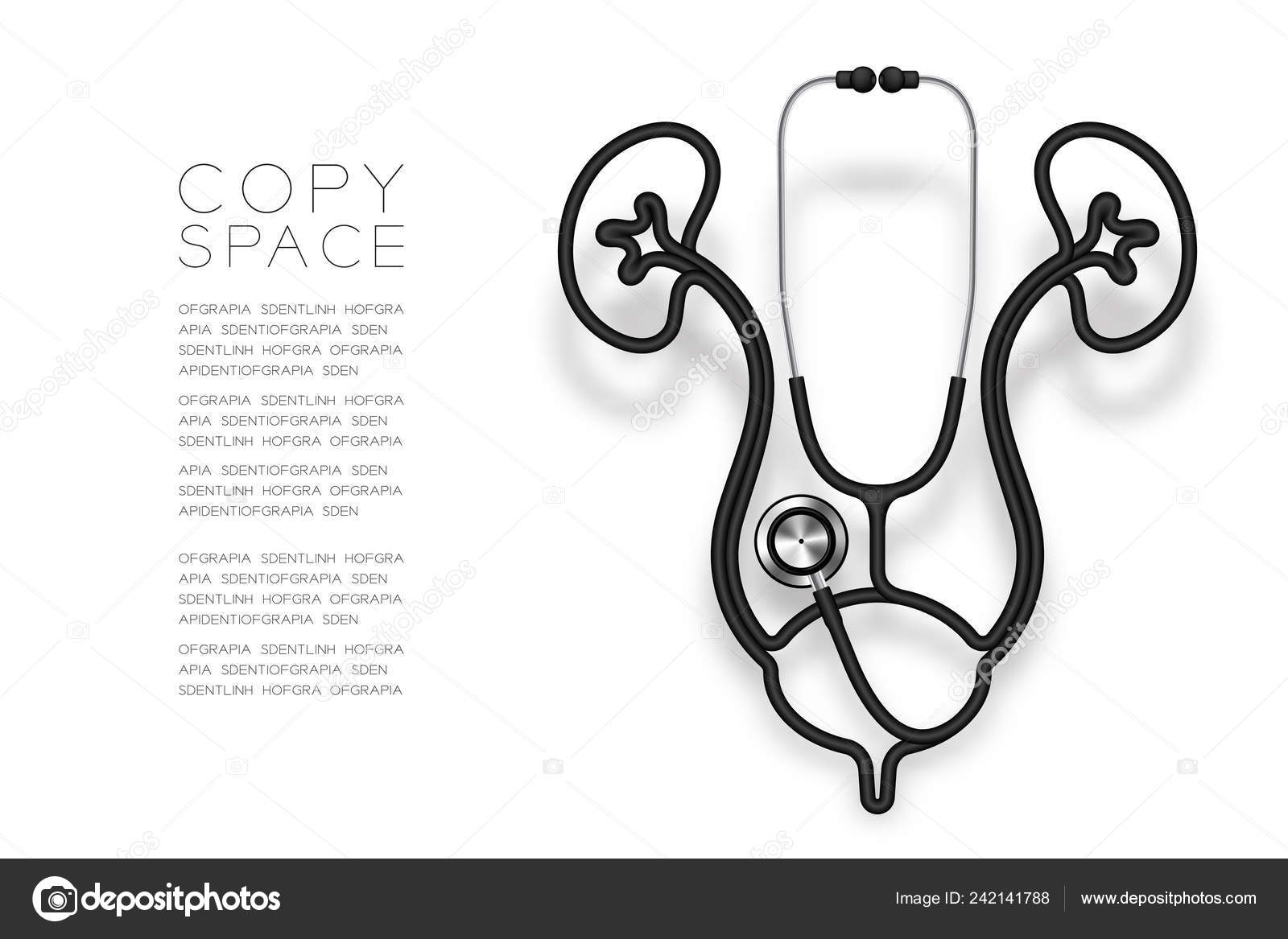 肾脏和膀胱形状由听诊器电缆黑色和医学器官概念设计例证查出在白色背景与拷贝空间向量Eps 图库矢量图©paitoon.pati 242141788
