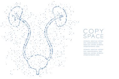 böbrek ve mesane şekil soyut geometrik daire nokta piksel deseni, tıbbi bilim Organ konsept tasarım mavi renk illüstrasyon izole kopya alanı, vektör eps 10 beyaz zemin üzerine