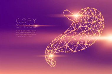 Mide şekil fütüristik desen tel kafes çokgen bokeh hafif yapısı ve mercek parlaması, tıbbi bilim Organ konsept illüstrasyon izole kopya alanı mor degradeler zemin üzerine