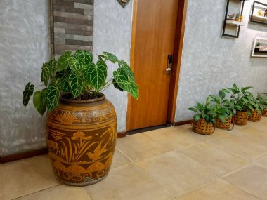 Antika seramik kaplar, iç tasarım elementleri olarak. Sanatsal ve antika bitki vazoları olarak da kullanılıyorlar..