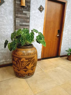 Antika seramik kaplar, iç tasarım elementleri olarak. Sanatsal ve antika bitki vazoları olarak da kullanılıyorlar..