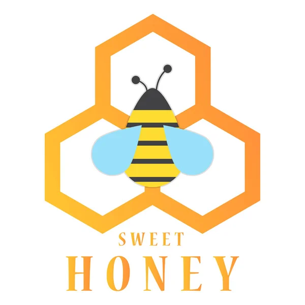 arı peteğin, vektör görüntü, düz tasarım arka planı