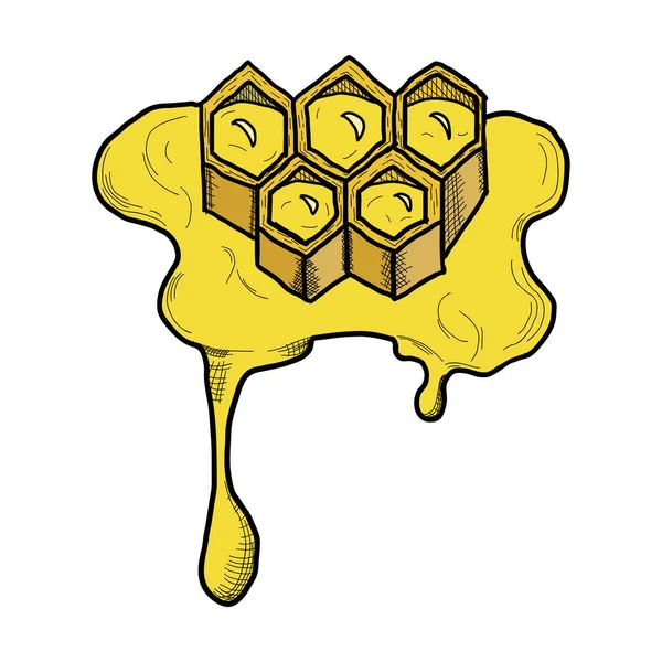 Handgeschilderde Honingraat Zoete Honing Vector Image Kleurrijke Tekening — Stockvector