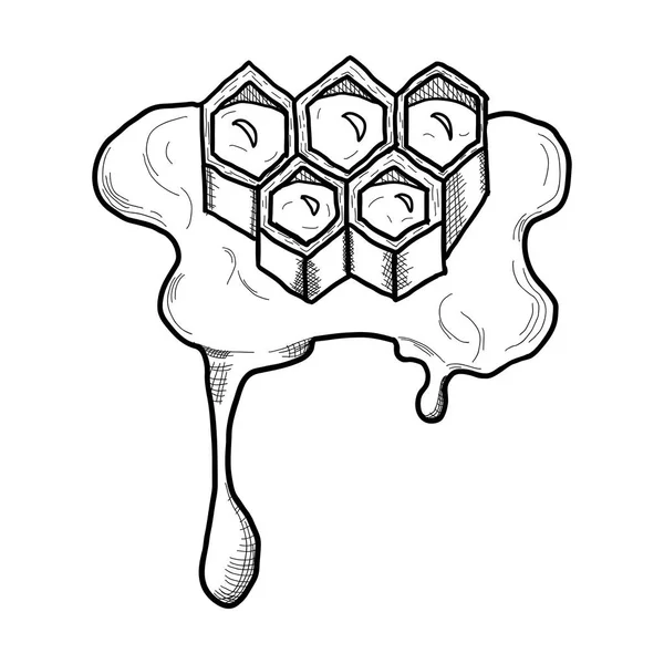Handmålade Honeycomb Söt Honung Vektorbild Svart Och Vit Teckning — Stock vektor