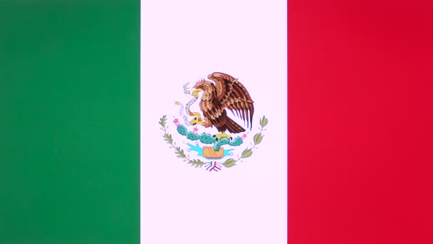 手竖起大拇指与墨西哥国旗 批准手势与复制空间 积极意见标志 欣赏墨西哥国旗背景的观念 喜欢符号与空白领域 — 图库视频影像