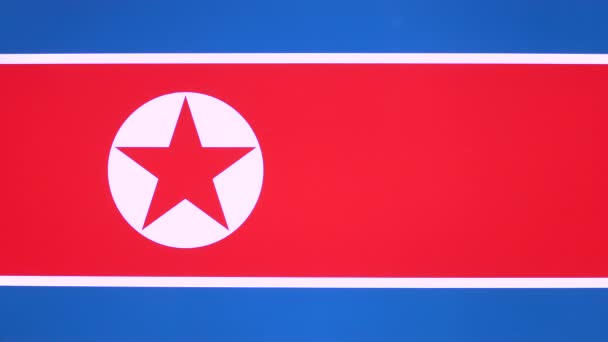 Mano Que Pulgar Hacia Abajo Con Gesto Desaprobación Bandera Corea — Vídeos de Stock