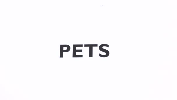 ペット禁止シンボル 拒否動物 犬はコピースペースを書くことを禁止 いいえ入り口 ゾフォビアと衛生 白い背景を持つ国内の友人負の記号 選択と排除の概念 — ストック動画