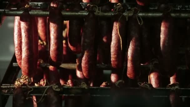 Salsicce nello stoccaggio del congelatore della fabbrica . — Video Stock