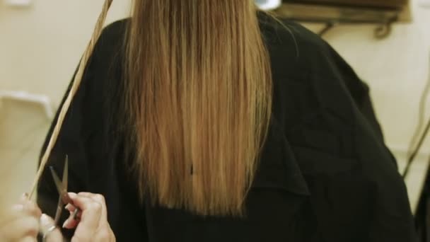 Fachkundiger Friseur kämmt und schneidet Kundin — Stockvideo