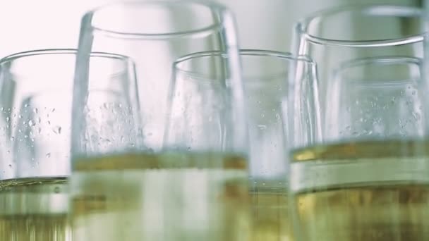 Champagne in Glasses — Stock Video