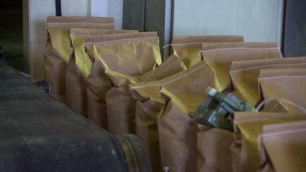 Bolsas en almacén en la fabricación industrial — Vídeos de Stock