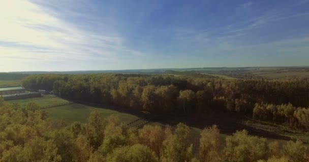 Aerial footage av häst paddock. 4k — Stockvideo